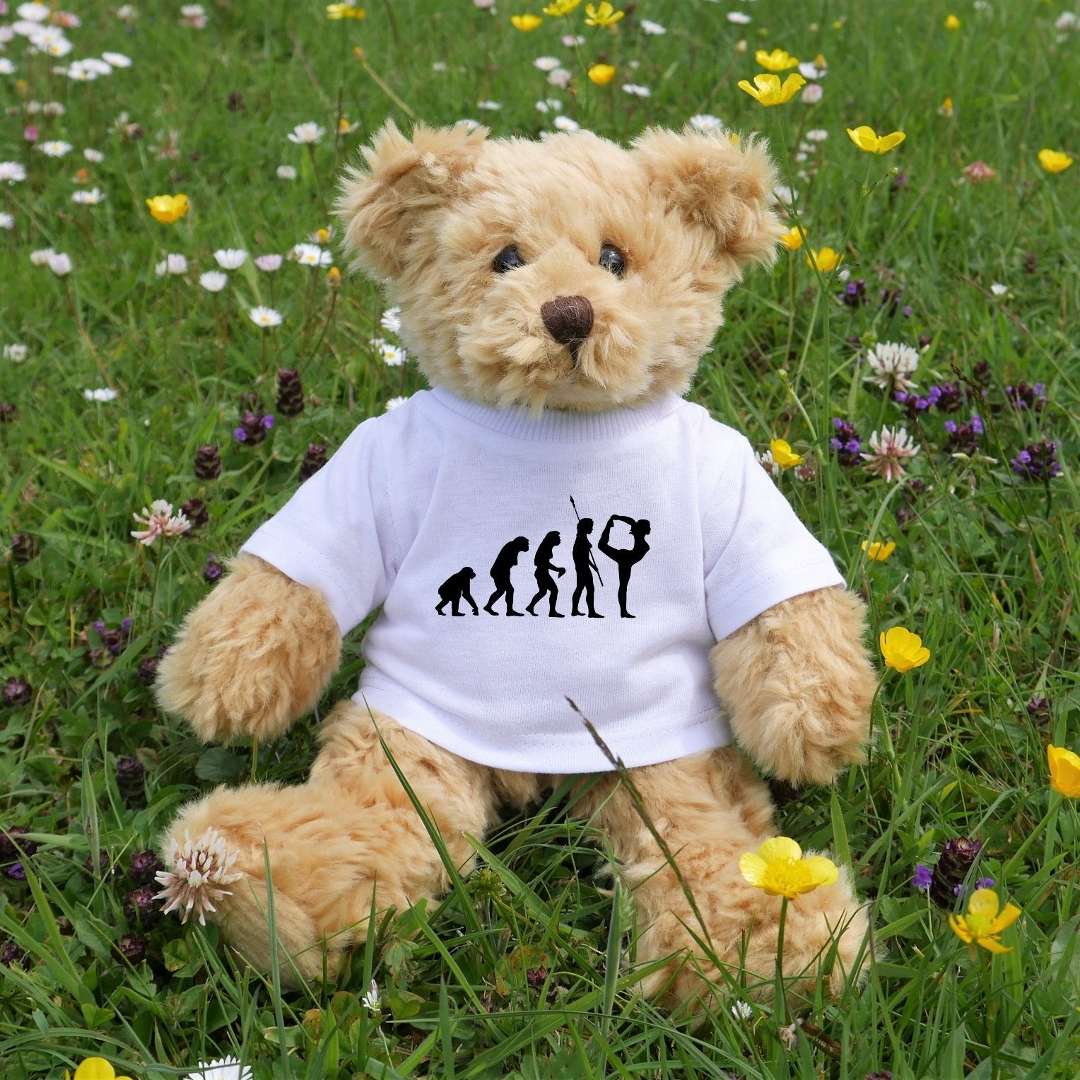 Teddy Bear in Evolution of Dance T-Shirt - Scarf Monkey
