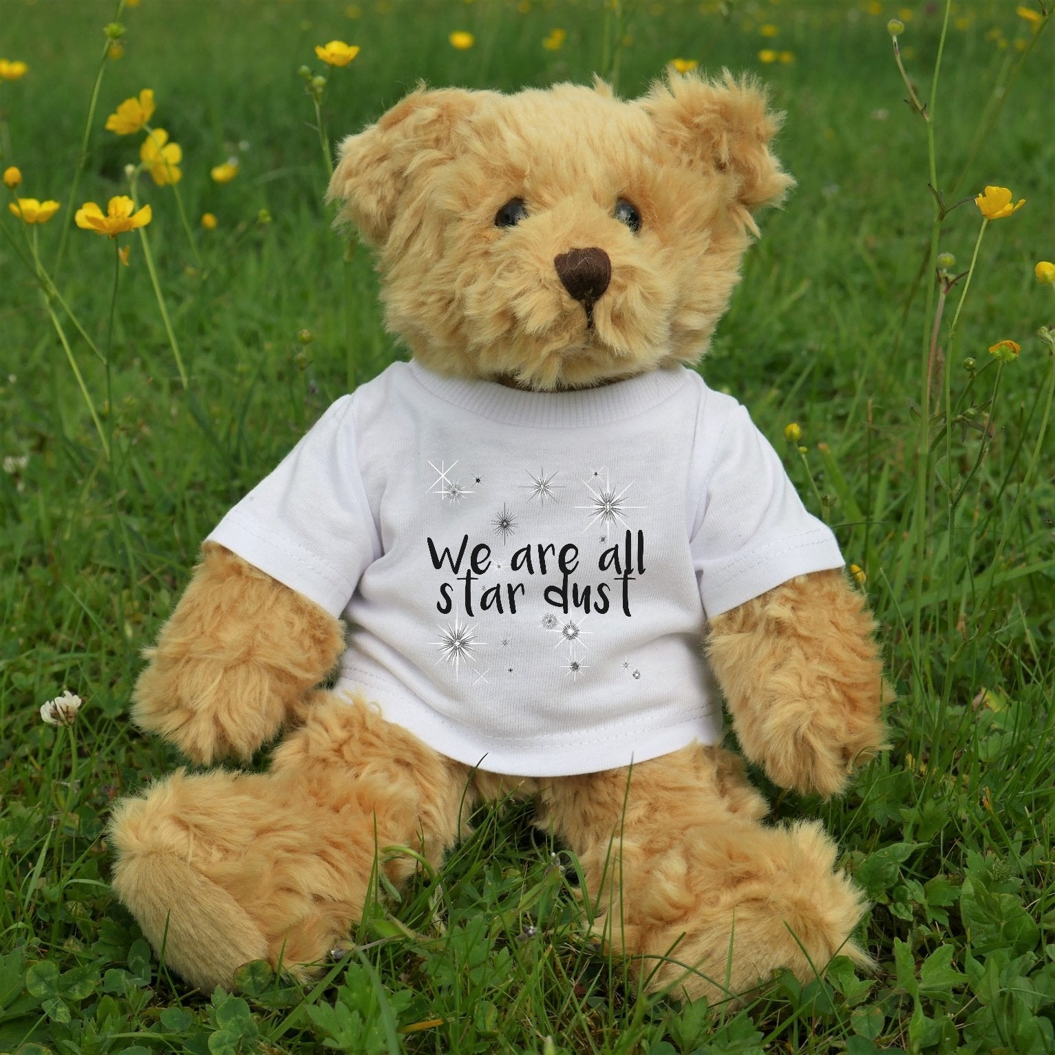 Teddy Bear in We Are All Star Dust T-Shirt - Scarf Monkey